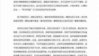 财务会计实训总结_财务会计实训总结100