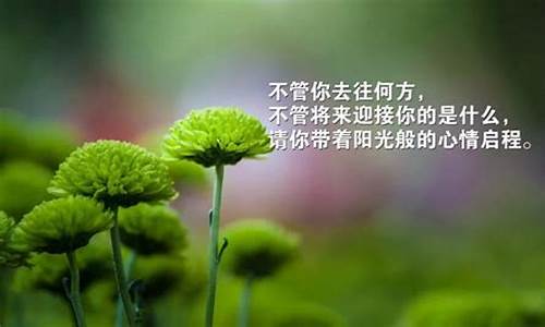 励志语录经典长句_名人名言励志语录经典长