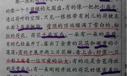 美句摘抄赏析