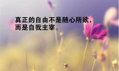 经典句子 人生感悟简短_很现实又很扎心的句子