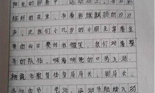 关于运动会的作文_关于运动会的作文600字左右