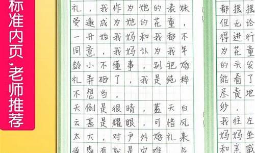 小学日记100字